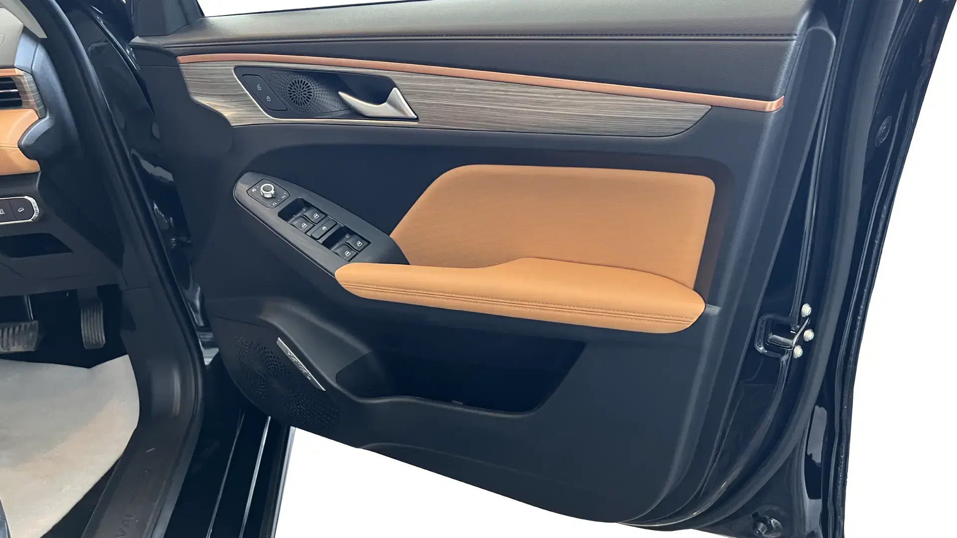 haval jolion driver door