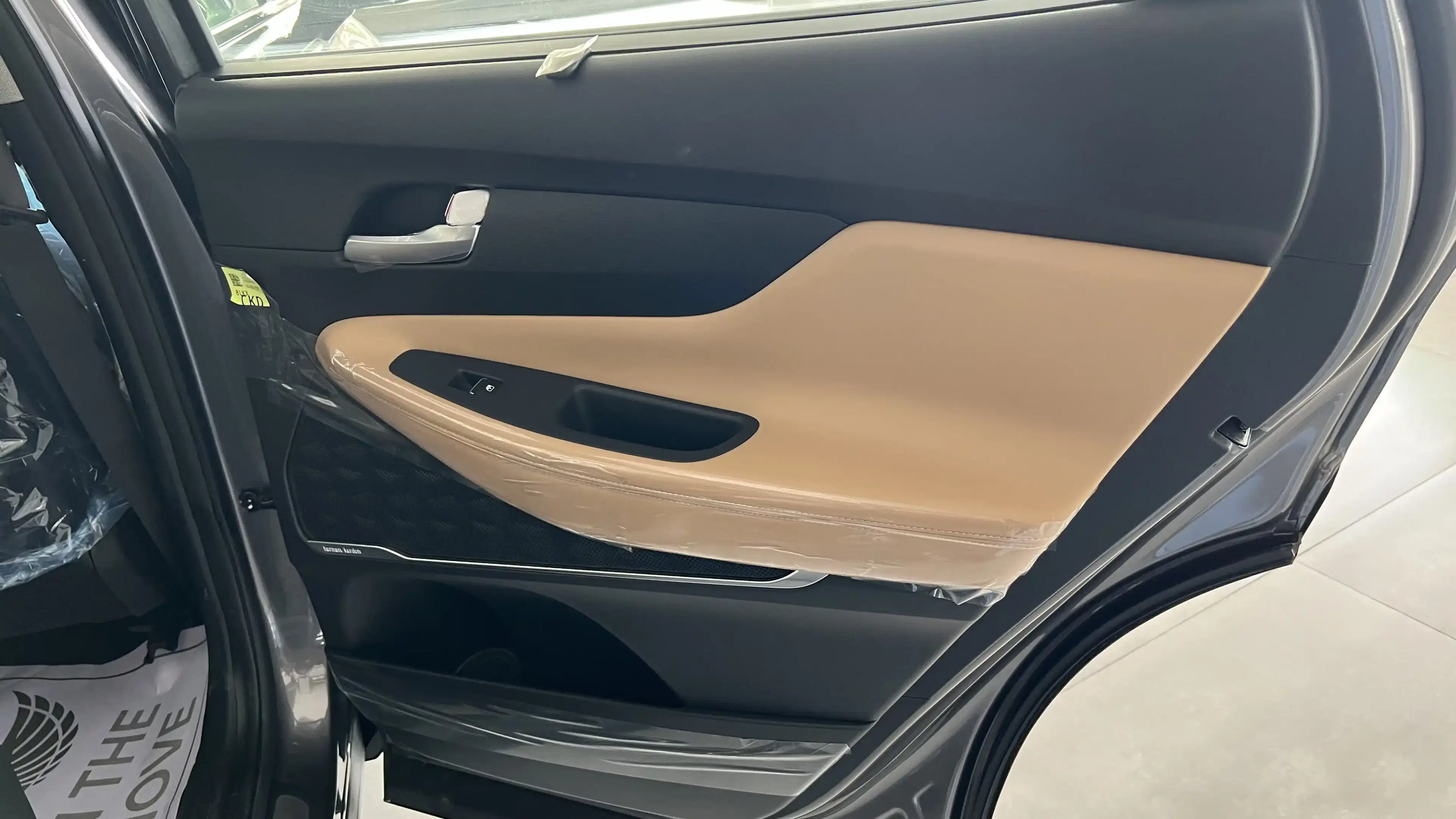 hyundai santafe interior passenger door