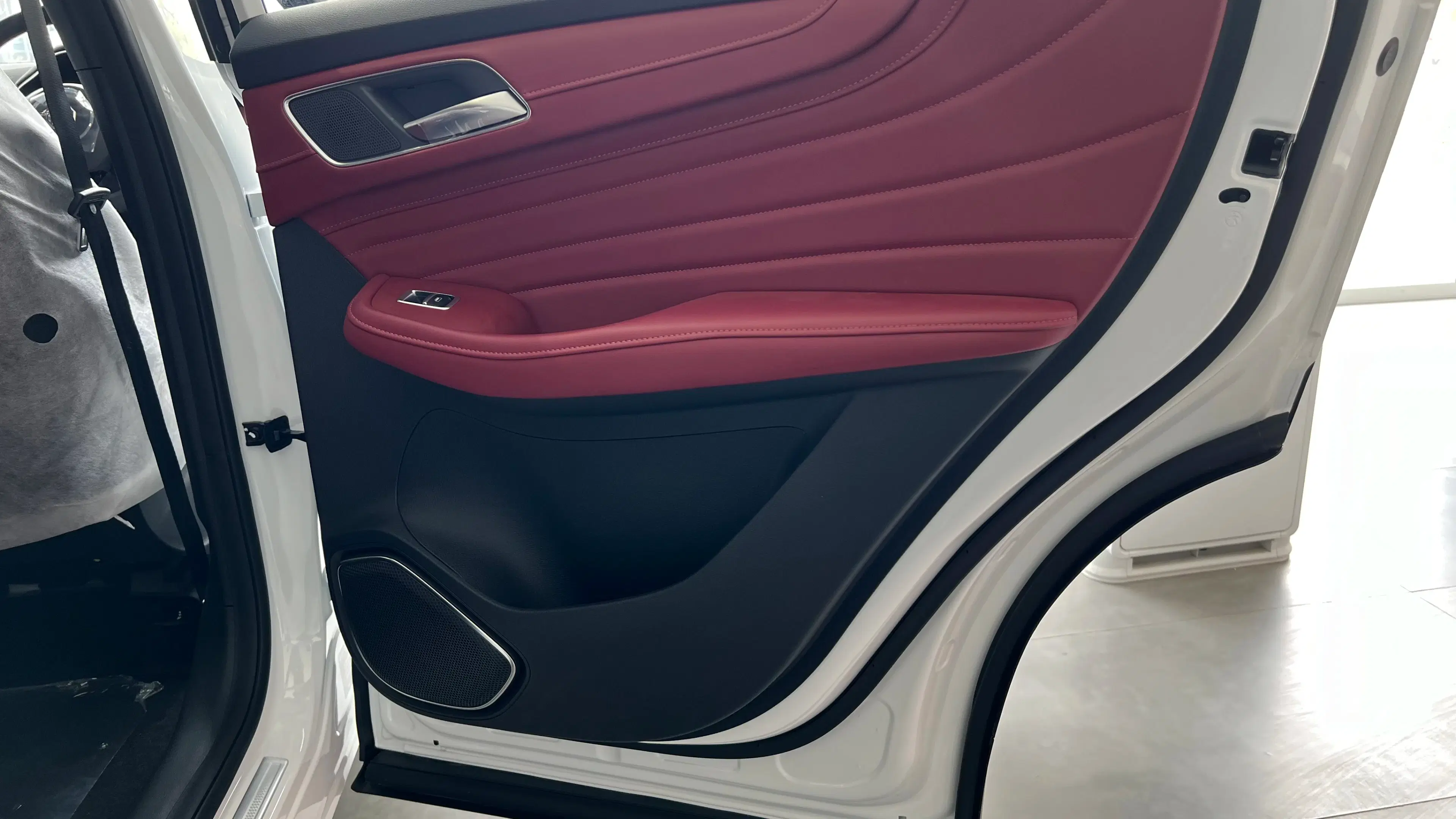 mg hs driver door