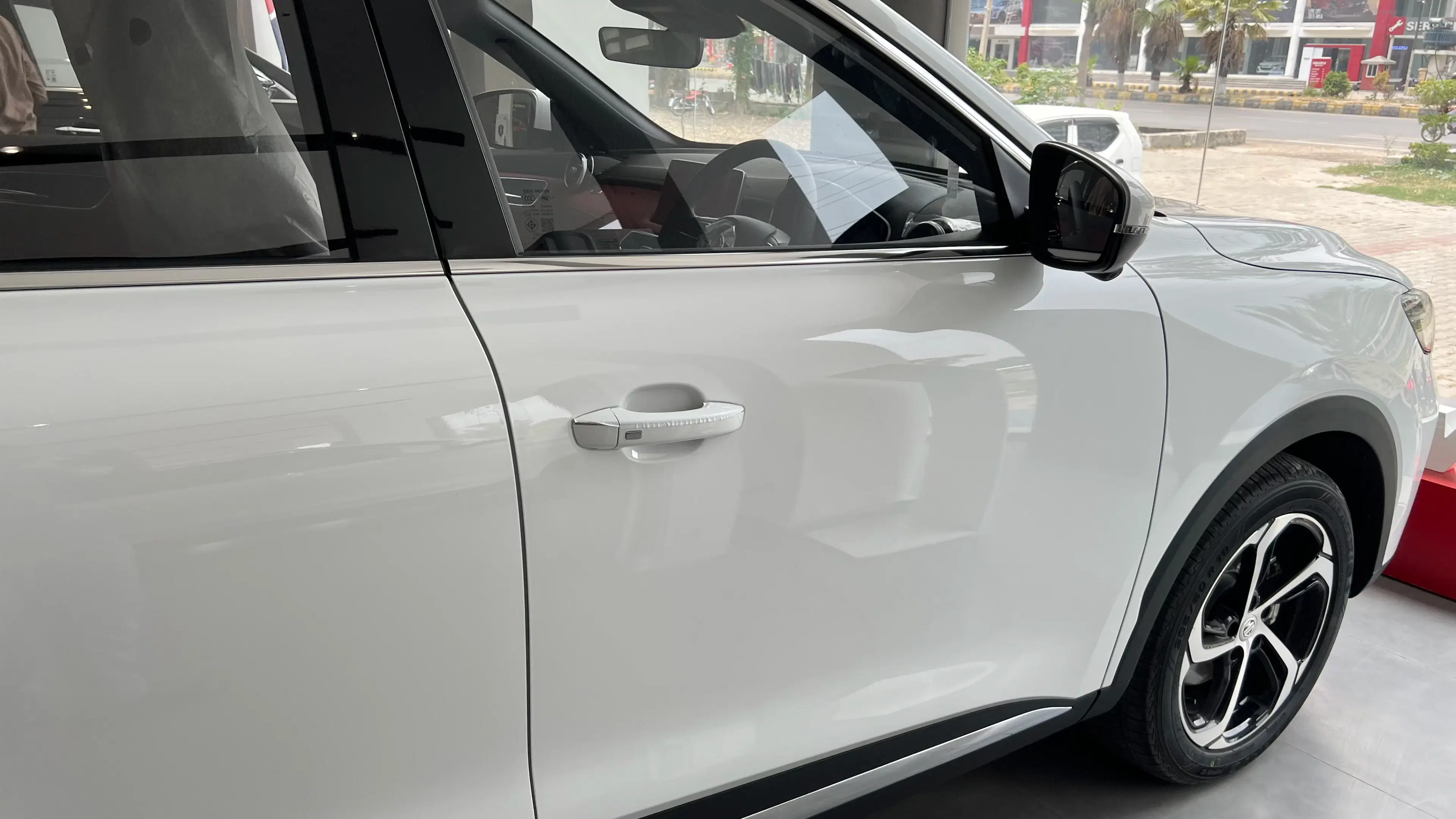 mg hs side door