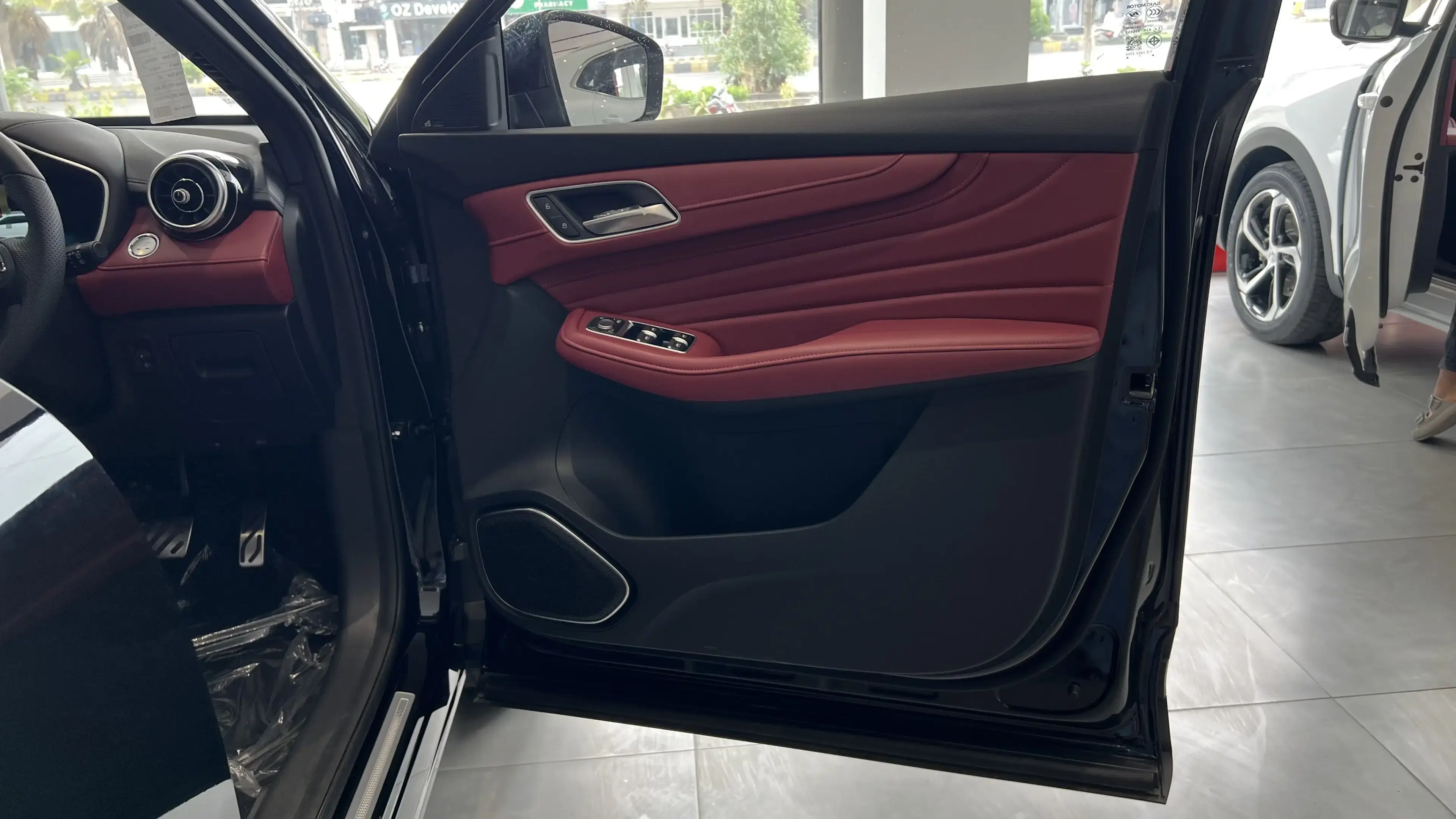 mg hs phev driver door 2